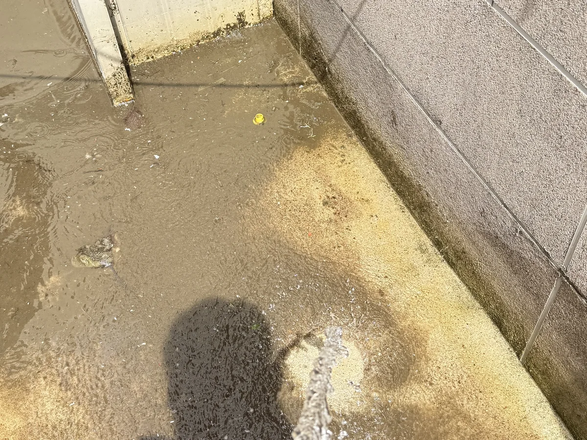 여주시 오학동 배관 관리실·기계실 위생청소 사례 - 행진크린